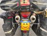 IMG_0136.JPEG_compressed.JPEG